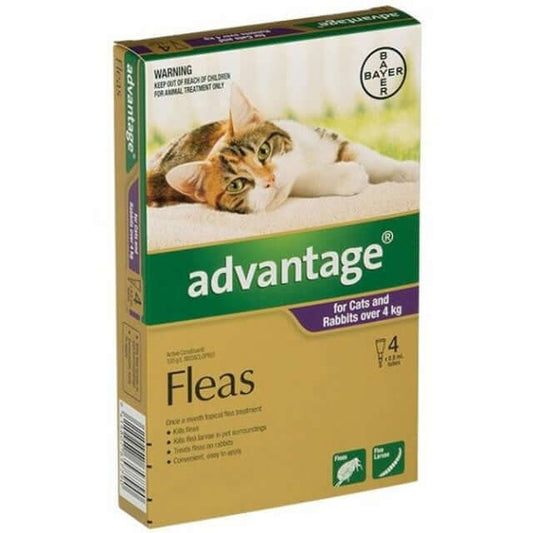 Advantage Cat Flea & Tick Treatments for Cats & Kittens Pet Choice